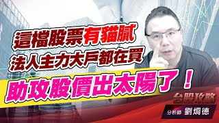 這檔股票有貓膩，法人主力大戶都在買，助攻股價出太陽了！｜台股攻略｜劉烱德 (圖)