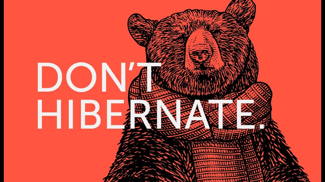 Bubs the Bear Knows Efficiency Rebates