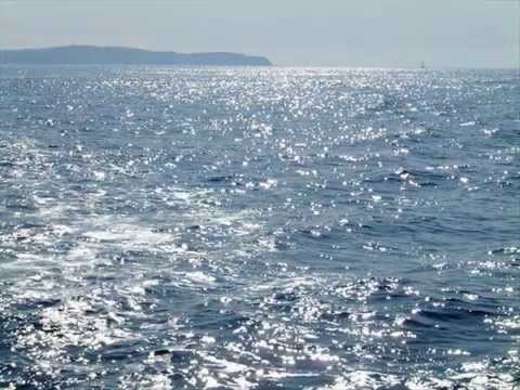 Alen Nižetić - "Tvoje more"