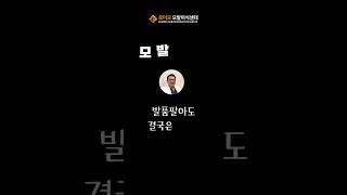 강남로미모의원 강민호