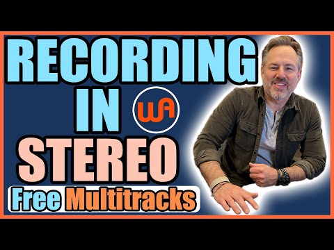 Joe Carrell and Warm Audio