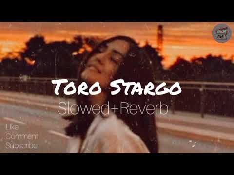 Toro Stargo (slowed+reverb) | Alizeh khan | Pashto New Song | Afghani |