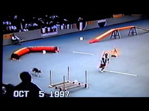 Nifty 1997 FCI World Championships in Denmark 3