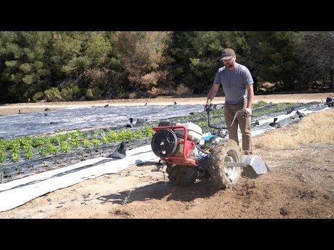 Breaking Ground with a Tiller: The Key to Starting Your Garden Right!