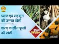 Hello Kisan हैलो किसान प्याज एवं लहसुन की उन्�