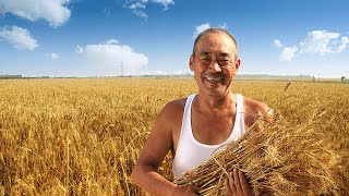 China's rural development plan for 2021 and beyond