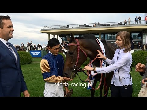 Gon. V (N. SK Krasne) - 28.08.2021 - Nemezis (Sea The Stars - Rezyana)