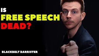Barristers&#39; Deep Dive into Freedom of Speech/Expression #AlexBelfield #AmberHeard
