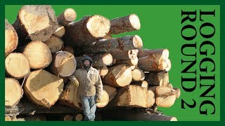 Logging Round 2 - Acorn to Arabella