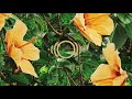 2 07 IDGAF Freestyle