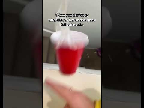 The first cat mode compared to the most recent cat mode 😂😭