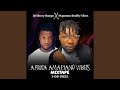 Africa Amapiano Vibes Feat DJ Sleezy D Banga X Hyper Daddy