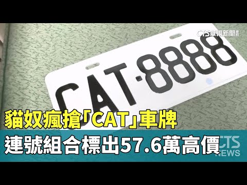 貓奴瘋搶「CAT」車牌　連號組合標出57.6萬高價