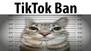 TikTok Ban