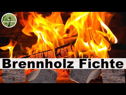 Spruce firewood: Facts and figures