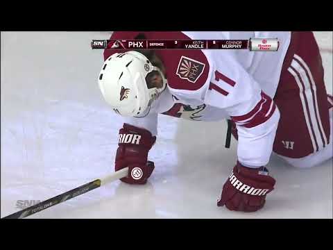 NHL   Dec.03/2013    Phoenix Coyotes - Edmonton Oilers