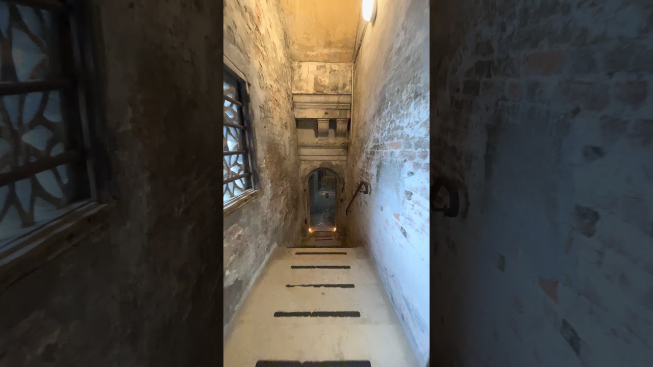 YouTube Short thumbnail