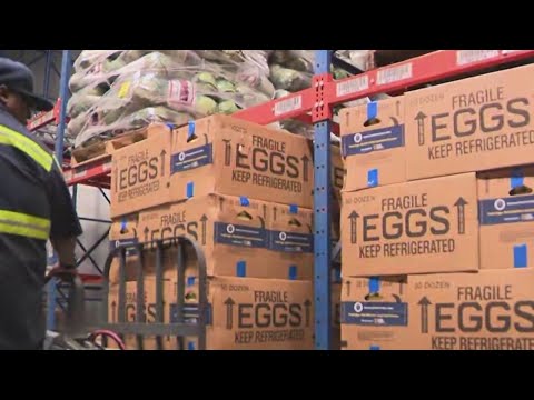 Millions of eggs donated after price fixing settlement