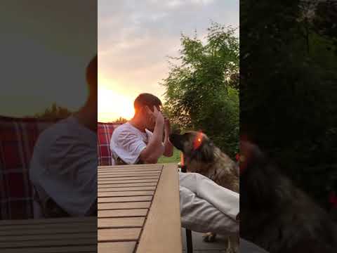 CHAPODASMOKA - FORMAT