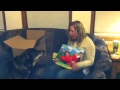 Laughing Elmo Meets The Dogs