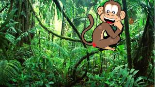 Ze kunnen zeggen wat ze willen