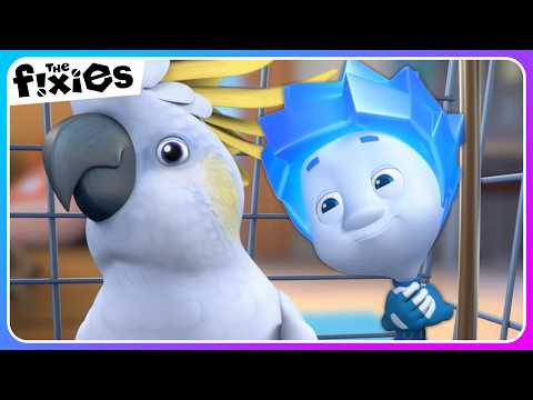 Nolik and The Parrot 🦜| The Fixies | Educational Cartoons For Kids - Kingdom Kids Zone, Little Learners - The Fixies