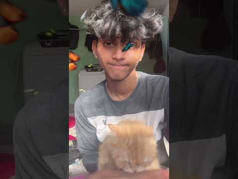 Sparrow 😚❤️🤌 #beachvibes #love #whowillbemylifepartnerta #beachlife #sad #song