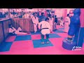 Vegedream Daishi Statut Taekwondo Kick It