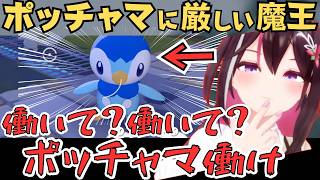 可愛いポケモンに癒されたりポッチャマを酷使するあずきちのぽこあポケモンが面白すぎたw【AZKi 切り抜き／ホロライブ】