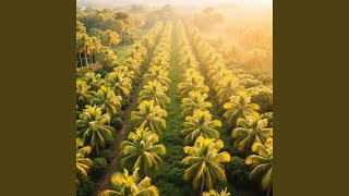 Download lagu Jiwa Memandu Lentera mp3