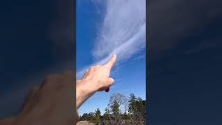 Collecting some of Natures Freebies in Tomahawk Wisconsin #nature #outdoors #scavenger