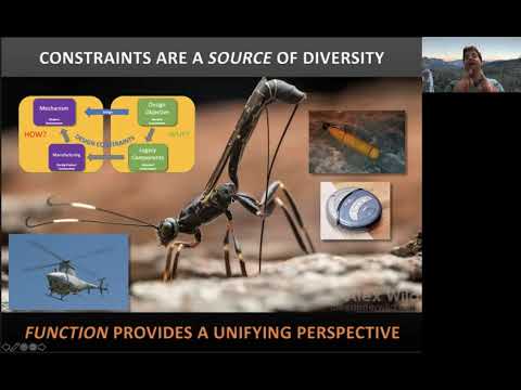 Technically a Model: Animal Behavior in Engineering Design (Ted Pavlic, ABS 2021)
