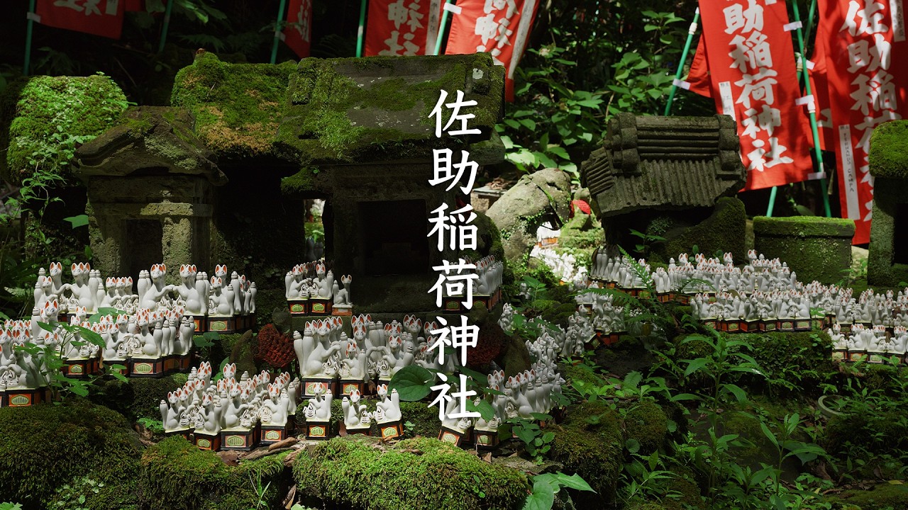 Sasuke Inari Shrine - Kanagawa