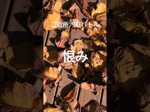 隣人からの好奇の目から守るために、どのバルコニーのプライバシースクリーンを植えるべきですか?メンテナンスなしで 7 種…またはほぼメンテナンスなし  庭園