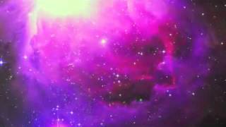 Learn to Fly  Action Item