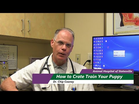 Crate Training Your Puppy