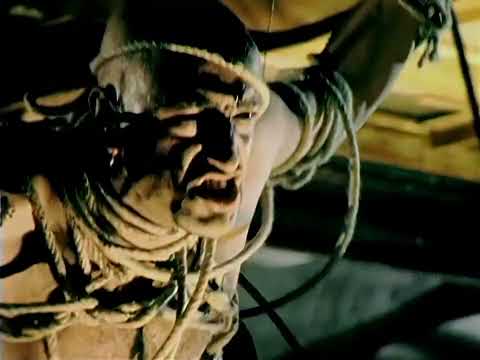 MEGAHERZ - Freiflug (Official Video)