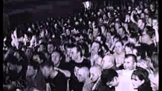 Stiff Little Fingers -- Wasted Life (DVD - 'Stiff Little Fingers: Handheld and Digitally Rigid')