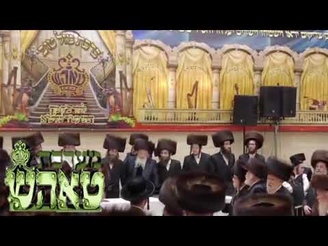 Forshpiel In Tosh - Sivan 5783