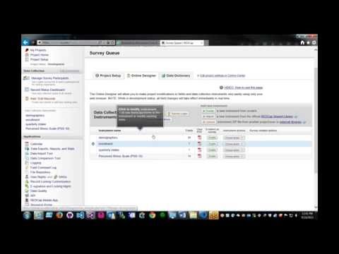 REDCap Survey Queue