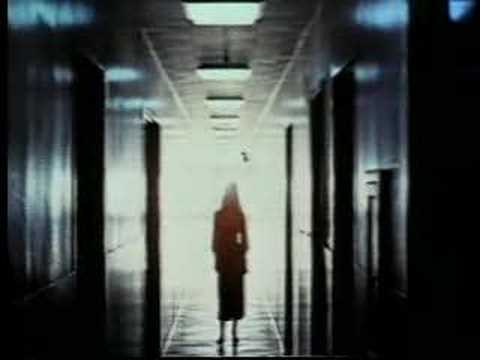 of Arrowe Hill - Dreams of a Sunday Always Waiting