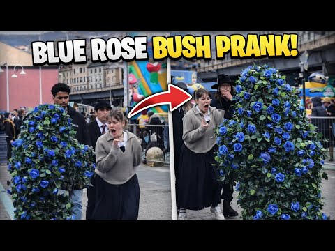 Bushman prank: THIS BUSH IS NOT NORMAL 😱