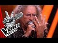 Steppenwolf Born To Be Wild Wolfgang Thunderwolf Schorer The Voice Senior SAT 1