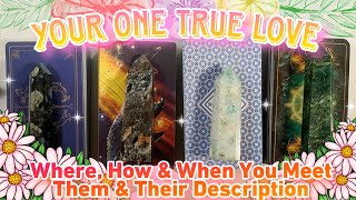 Who is Your ONE True Love Have You Met? WHEN & HOW you meet Next Partner pick a card tarot reading