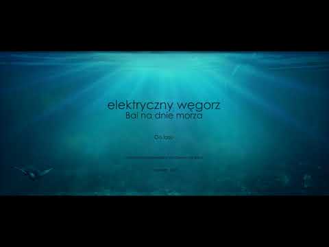 Elektryczny Węgorz - Do lasu (audio)