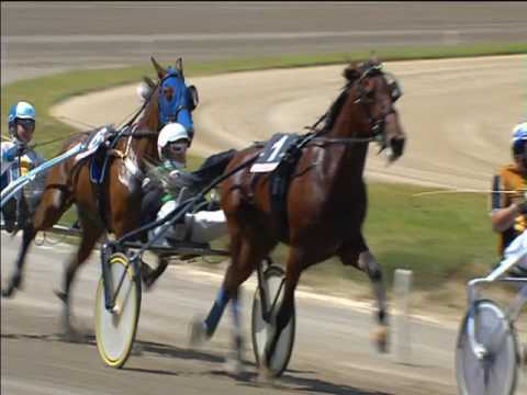 Trotto 01/05/2017 - 2ª corsa