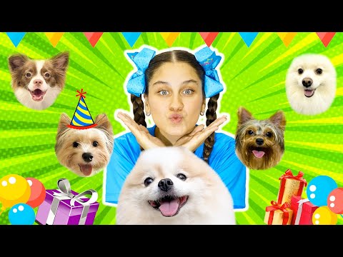 MILENINHA FAZ FESTA DE ANIVERSÁRIO PARA O CACHORRINHO NA PISCINA COM A BELINHA