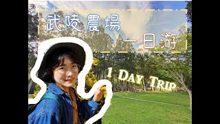 【年休vlog】| Ep.5| DAY6【武陵農場】【桃山瀑布】【雪山登山口】