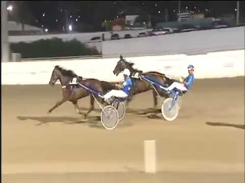 Trotto 26/08/2017 - 1ª corsa