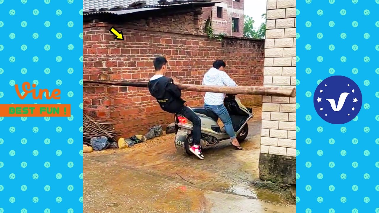 Must Watch Funny Videos 2024 Part 1